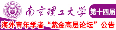 想被操逼南京理工大学第十四届海外青年学者紫金论坛诚邀海内外英才！